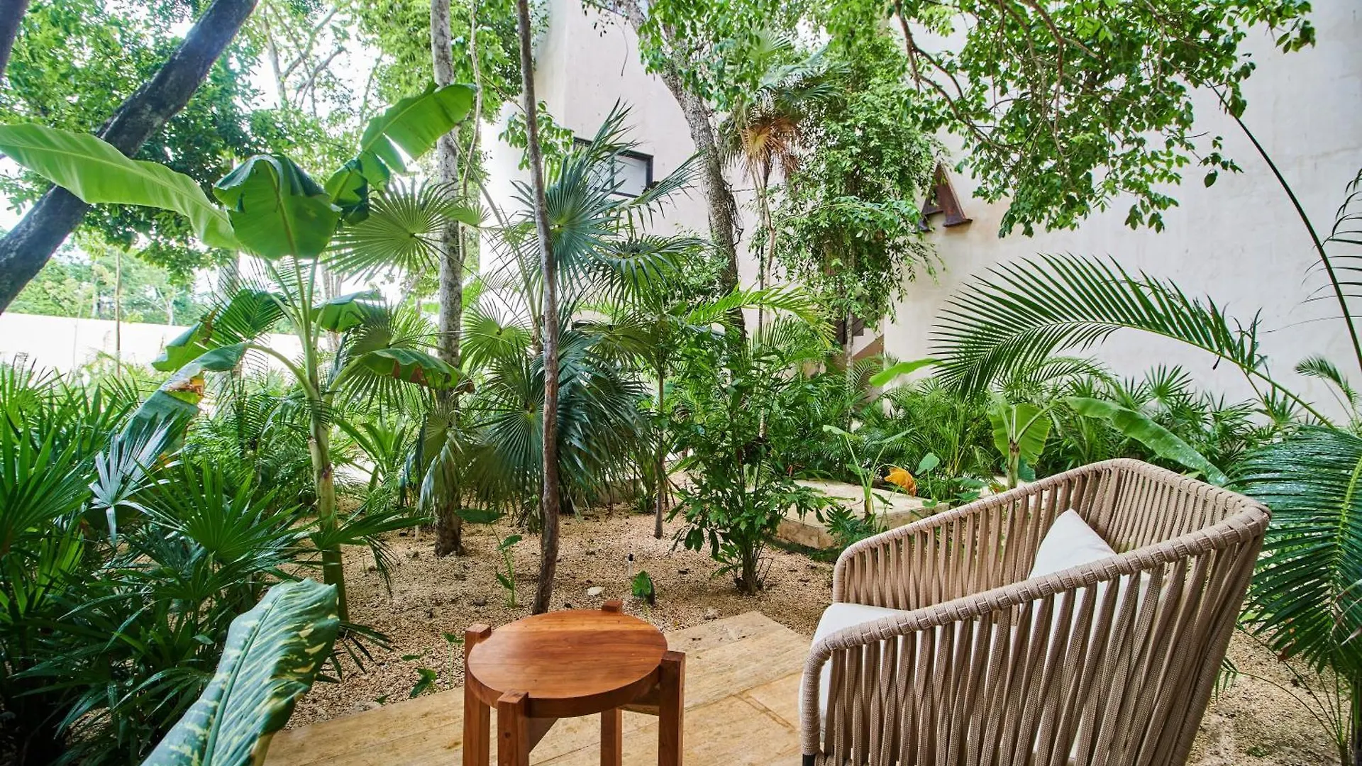 Ariel - Beach Club Access & Gym & Pool & Coworking contacts