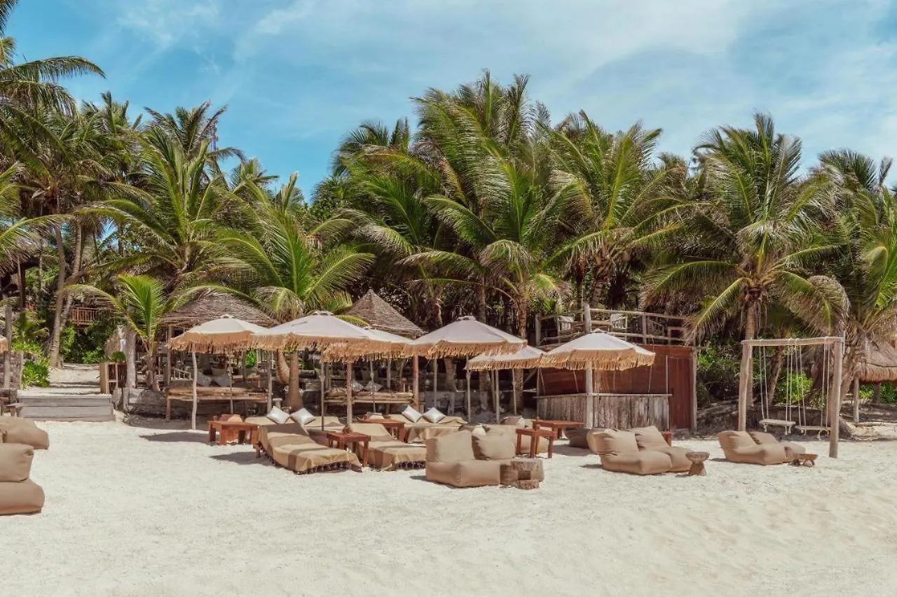 Ariel - Beach Club Access & Gym & Pool & Coworking Tulum Mexico