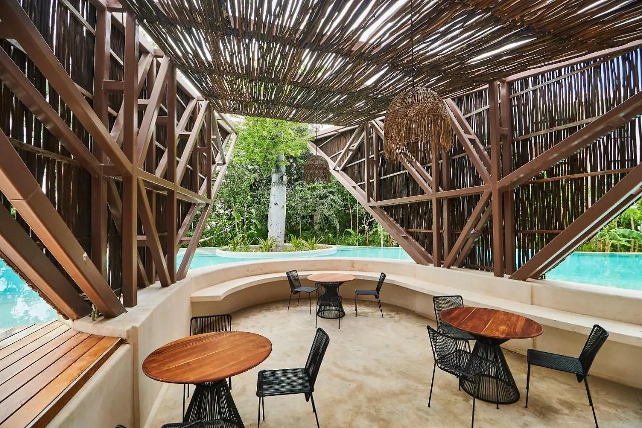 Ariel - Beach Club Access & Gym & Pool & Coworking Tulum 0*,  Mexico